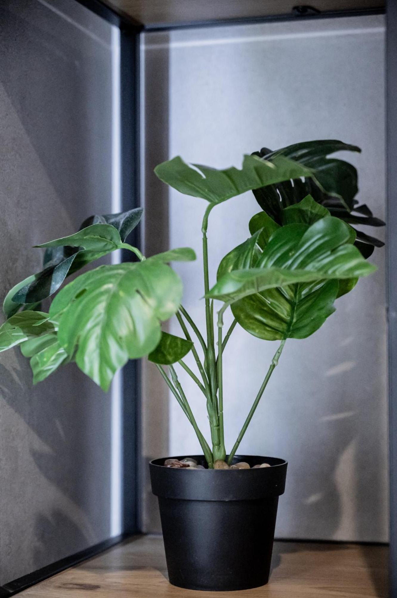 Yiannis Deluxe Apartment ハニア エクステリア 写真